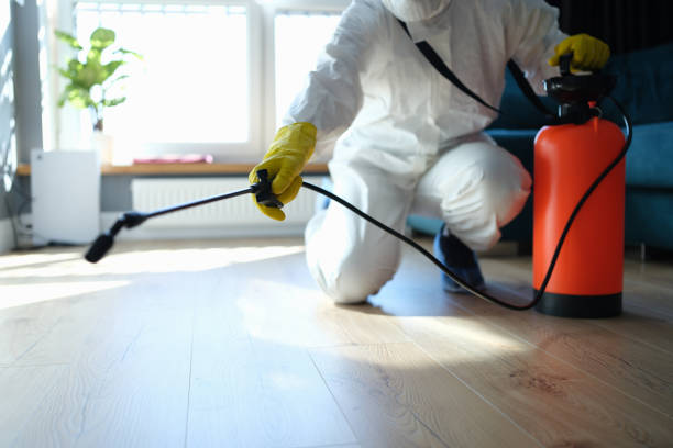Reliable Hoarding Cleanup contractor in Waterloo, IL by Dulley Family Biohazard Services